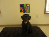 Tassel Degree Hat Pet Products