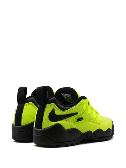 X Supreme Sb Darwin Low Volt Sneakers