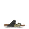 Zebra Brown
